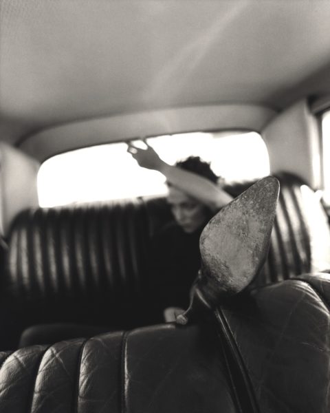 Stewart Ferebee Photography